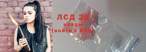 бошки Туринск