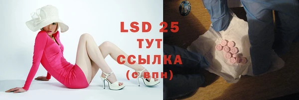 ешки Вязьма