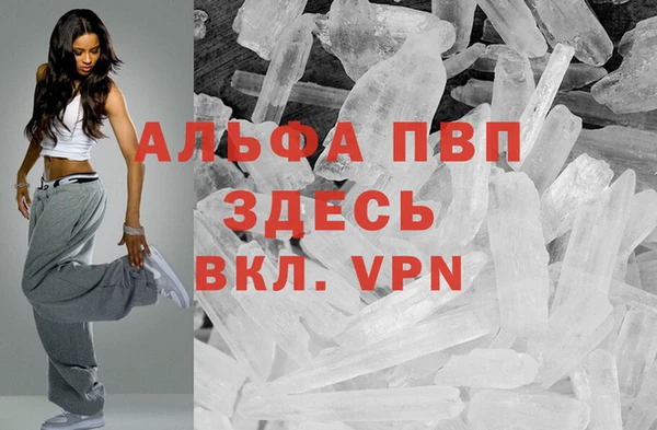 сатива Вяземский
