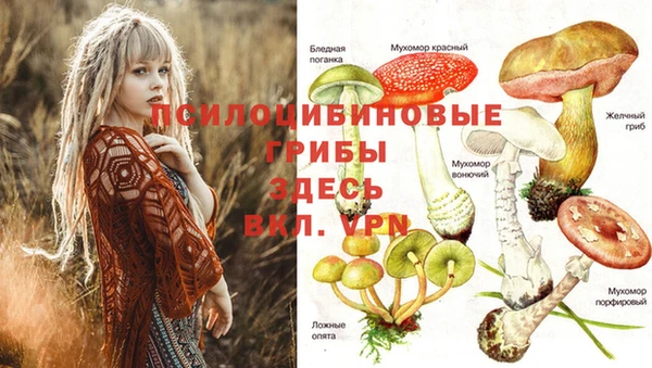 MDMA Володарск